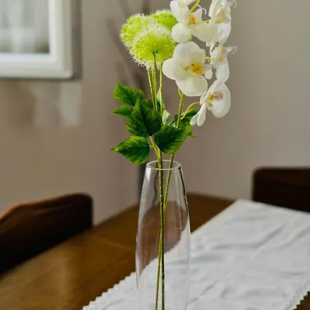 Niksa * Novigrad (Dalmatia)