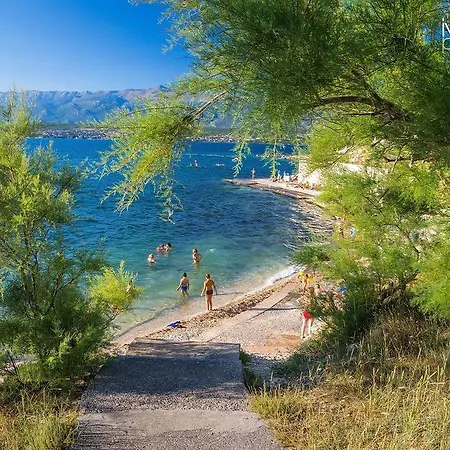 Niksa Apartamento Novigrad (Dalmatia)