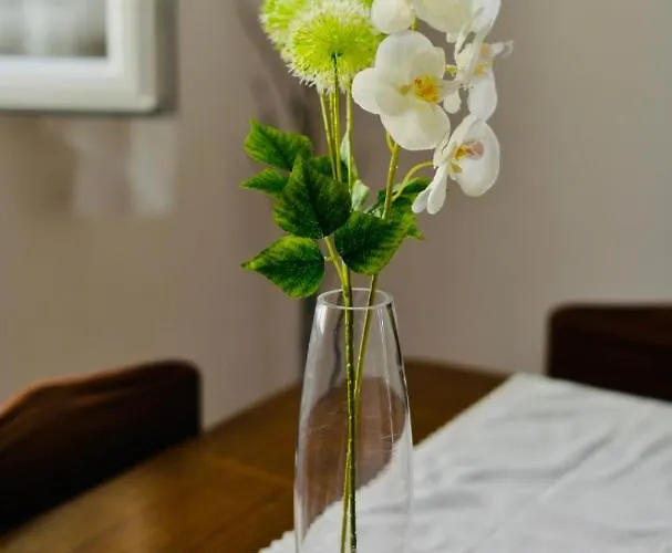 Niksa * Новиград-Далмация