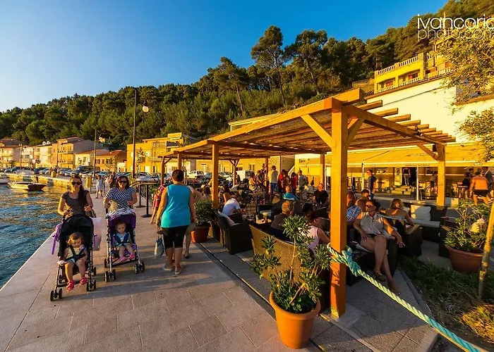 Апартаменты Niksa *